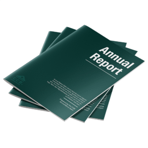 Annual Report - Image 3