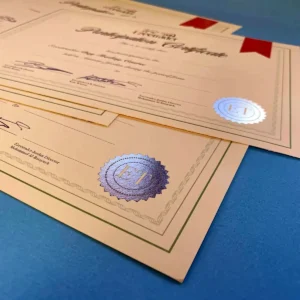 Certificates - Image 4